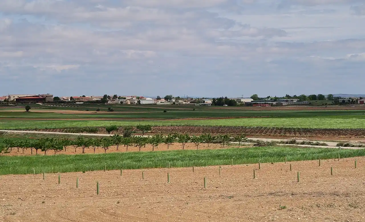 Empresa de mudanzas en Valdeganga